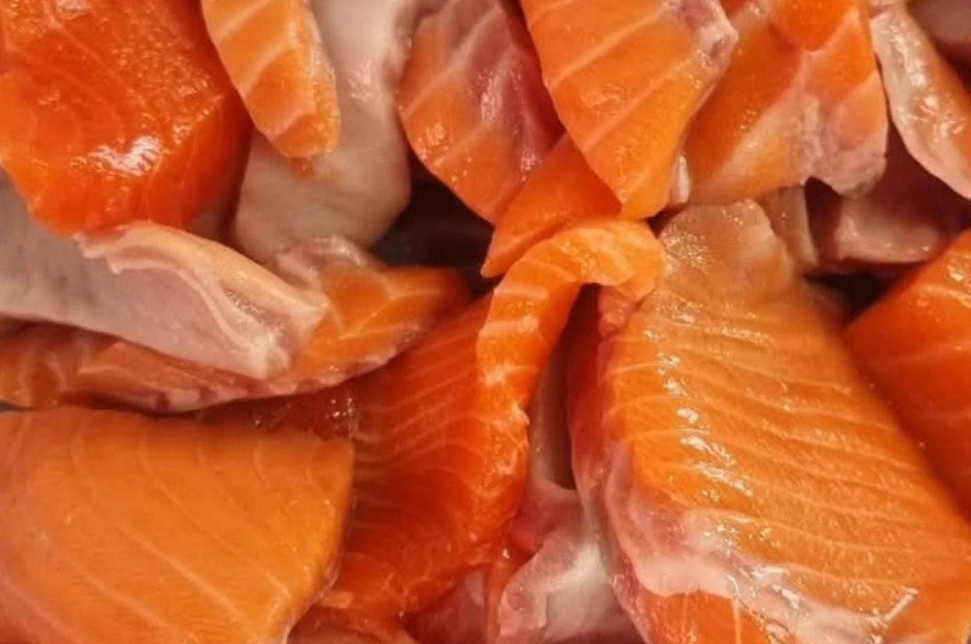 Fresh Salmon - a wide range of cuts & prices